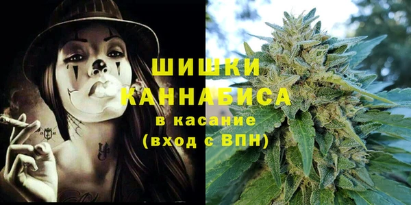прущие грибы Верхнеуральск
