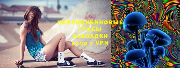 прущие грибы Верхнеуральск