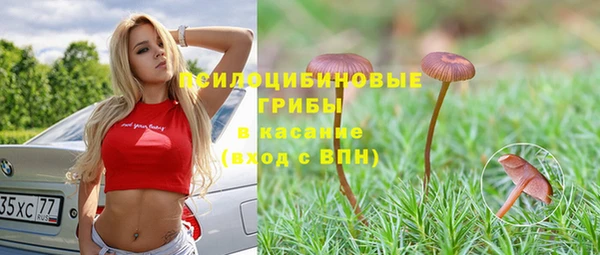 прущие грибы Верхнеуральск