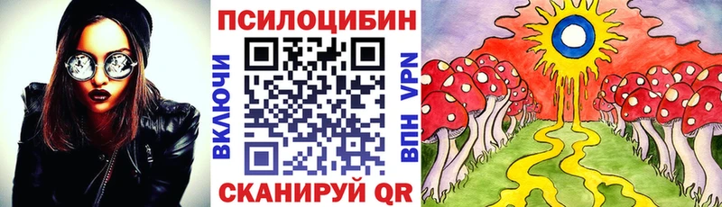 Купить где  Медвежьегорск  Псилоцибиновые грибы Cubensis 